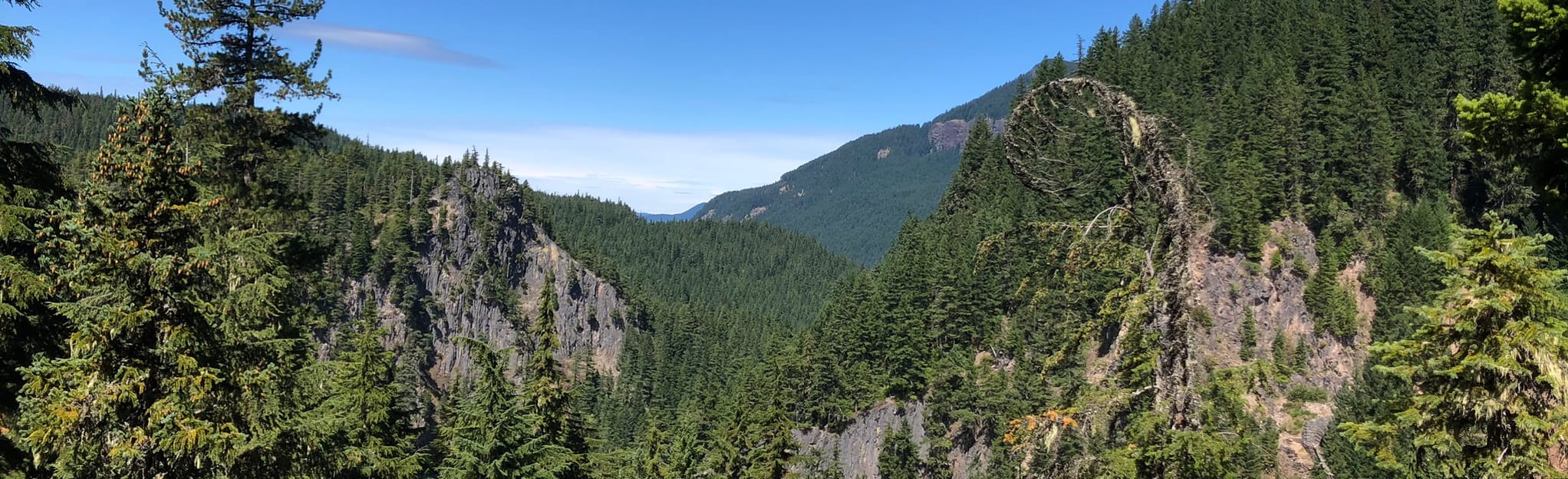 Salt Creek Diamond Creek Falls Trail 389 Reviews, Map Oregon