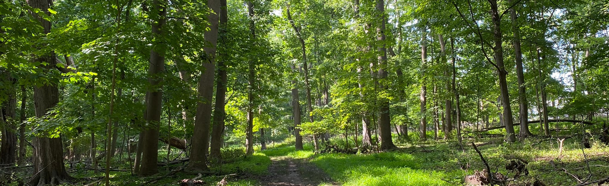 Emerson Woods Preserve Oradell Reservoir 121 Fotos New Jersey