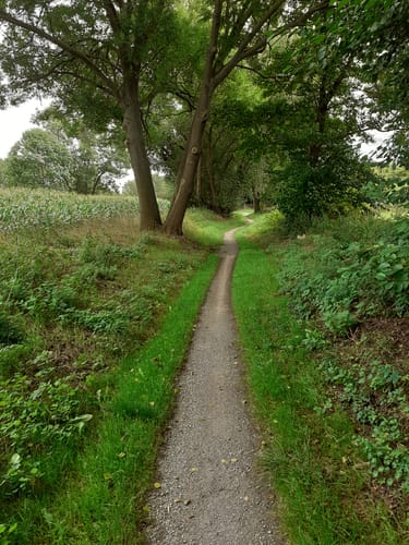 Silstedt - Derenburg - Böhnshausen - Mahndorf
