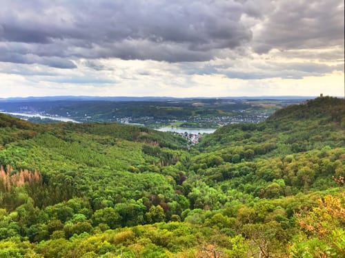 Traumhafte Siebengebirgsrunde mit Löwenburg und Drachenfels