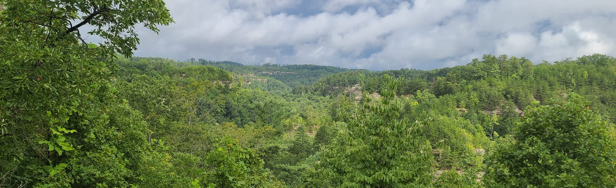 Tunnel Ridge Road, Kentucky - 414 Reviews, Map | AllTrails