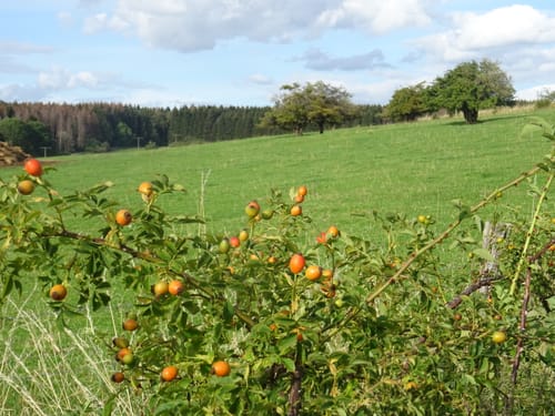 Radtour: Rund um den Knoten
