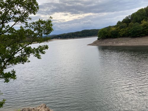 MTB Tour: Vogelsang - Rurtalsperre - Einruhr