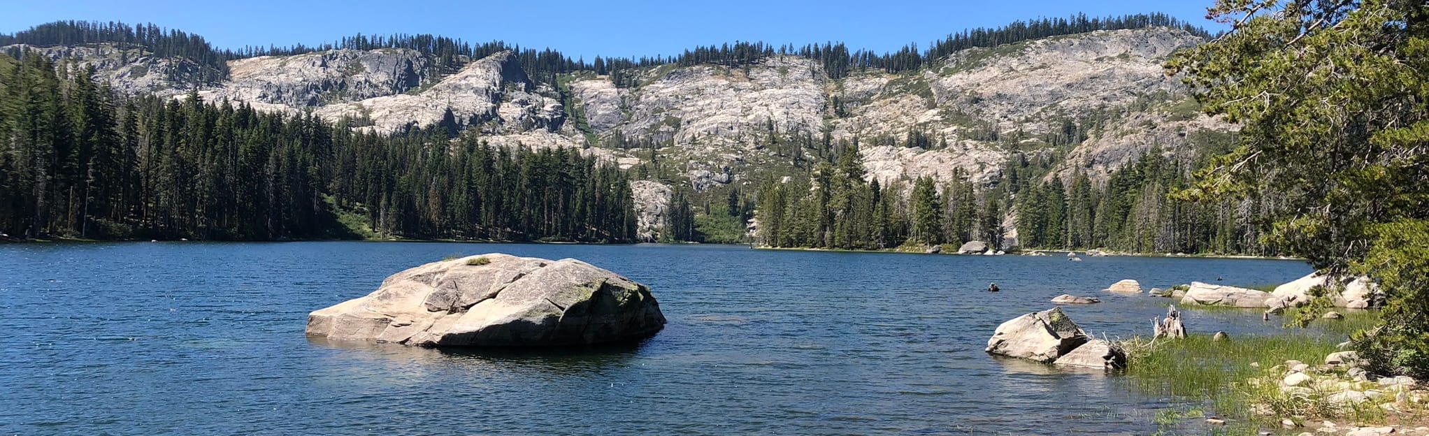 Gold Lake Trail via Silver Lake, California - 69 Reviews, Map  AllTrails