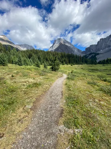 Best Beach Trails In Peter Lougheed Provincial Park | AllTrails