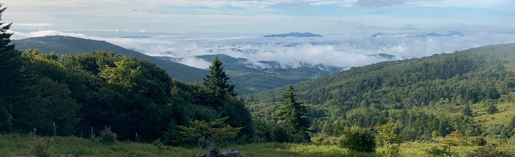 AllTrails Elk Garden, Pine Mountain, and Mt. Rogers Loop 115 Reviews