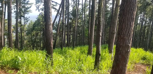 10 Best Trails and Hikes in Trinidad and Tobago AllTrails