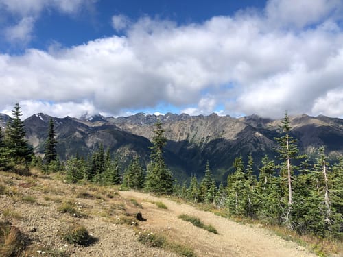 Best camping trails in Quilcene AllTrails