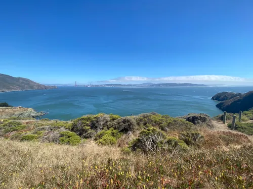 10 Best Trails and Hikes in Sausalito AllTrails