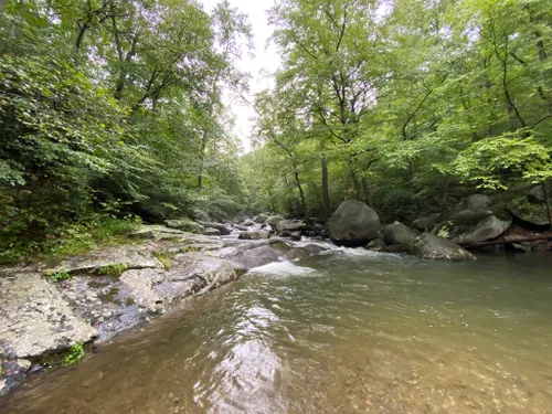 Trout Hike – Rapidan River (VA-Graves Mill) Catchguide Outdoors