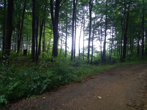 MTB Tour: Heidberg und Scheelsberg
