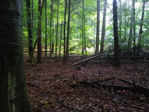 MTB Tour: Heidberg und Scheelsberg