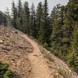 Mill Creek Trail, Idaho - 18 Reviews, Map | AllTrails