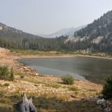 Mill Creek Trail, Idaho - 18 Reviews, Map | AllTrails