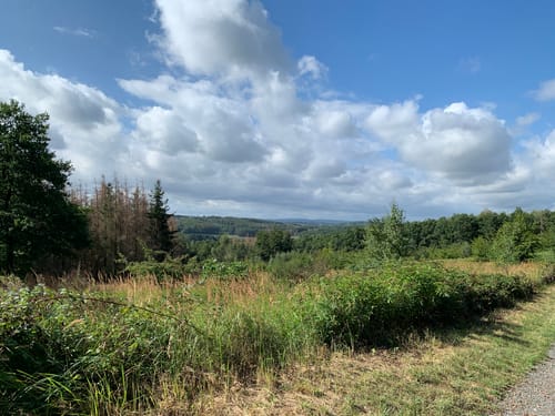 Elsebad Rundweg A7