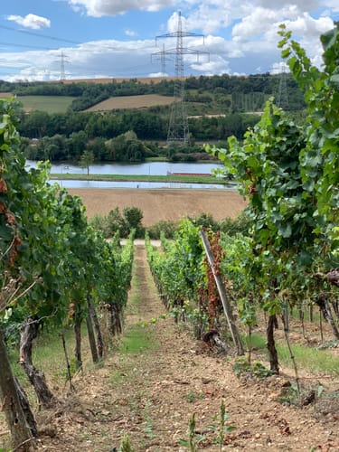 Winterhausen Goßmannsdorf Sommerhausen: Sonne, Mond und Steine