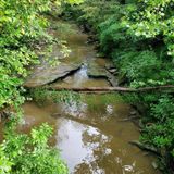 Williamsburg-Batavia Hike and Hike Trail, Ohio - 153 Reviews, Map ...