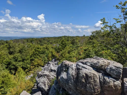 10 Best Hikes and Trails in Savage River State Forest | AllTrails