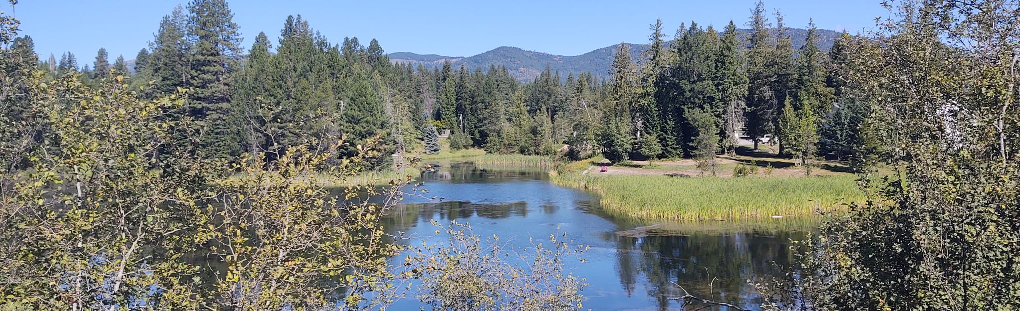 Sandpoint Dover Community Trail, Idaho 36 Reviews, Map AllTrails