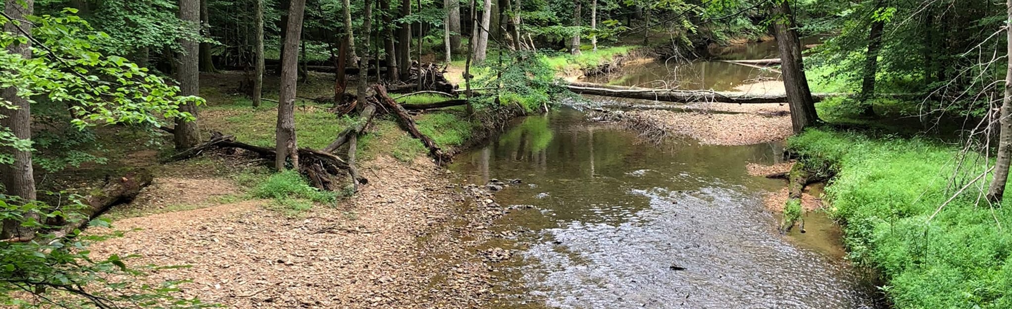 Black Hill Trail: 281 Reviews, Map - Maryland | AllTrails