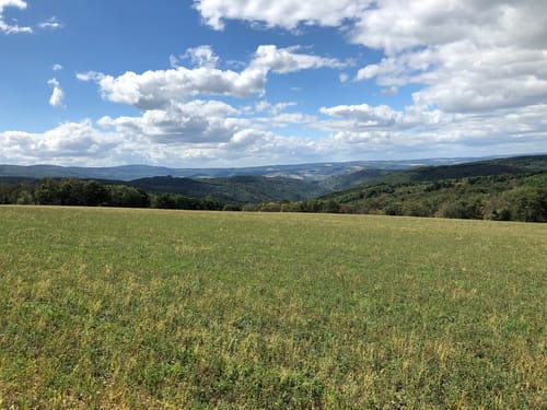 Via Monte Preso (Premiumwanderweg)