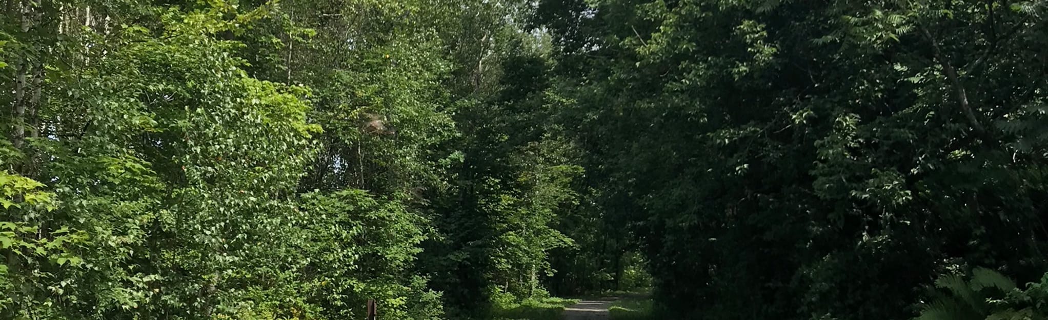 Dog Head Falls via Lamoille Valley Rail Trail 101 Reviews, Map