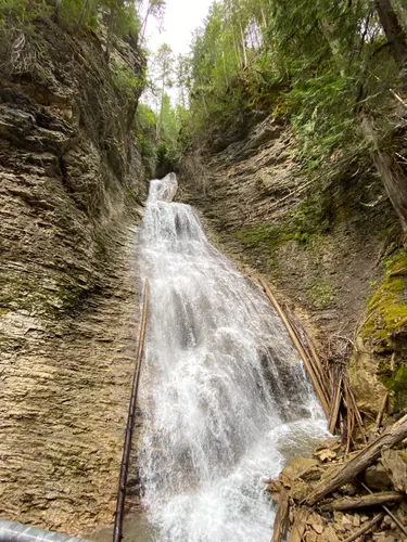 Best Hikes and Trails in Herald Provincial Park AllTrails