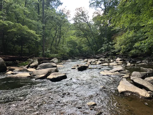 Rock creek park bike 2024 trail