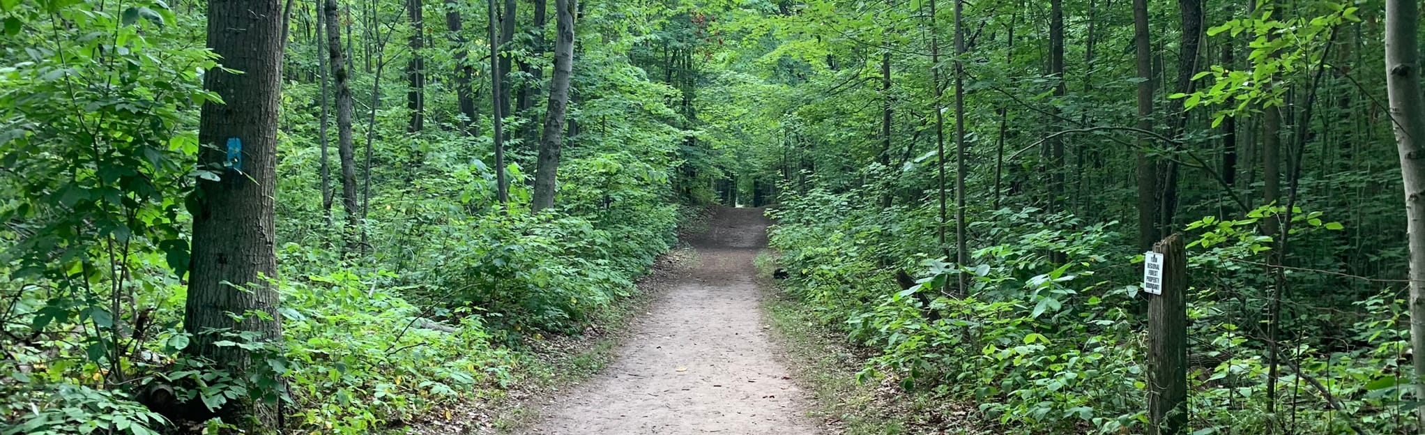 Hollidge Tract Trail, Ontario, Canada 1,025 Reviews, Map AllTrails