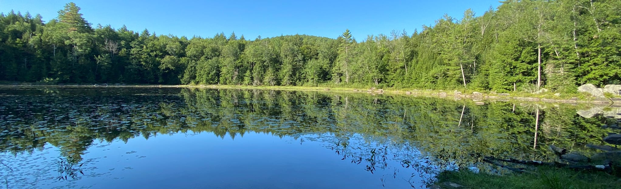 Crane Pond Trail 8 Reviews, Map New York AllTrails