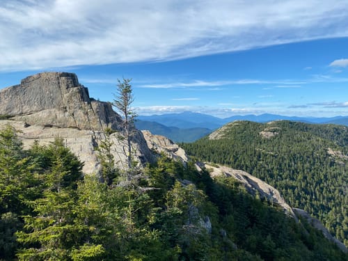 are dogs allowed hiking trails white mountains