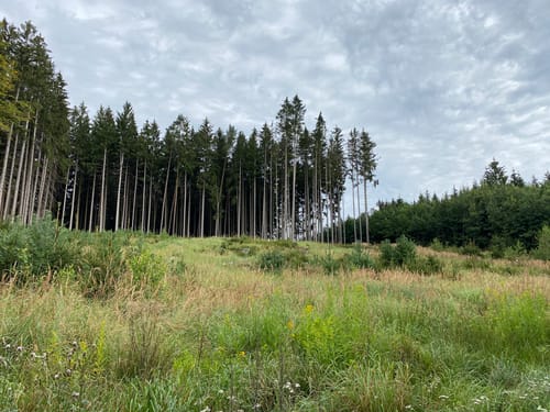 Rundwanderweg Emmeringer Leite