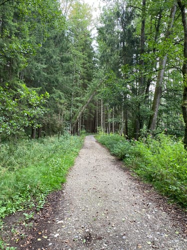 Rundwanderweg Emmeringer Leite