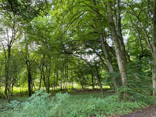 Rundwanderweg Emmeringer Leite