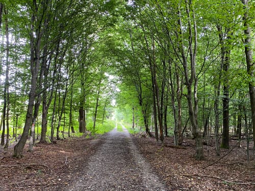 Rundwanderweg Emmeringer Leite