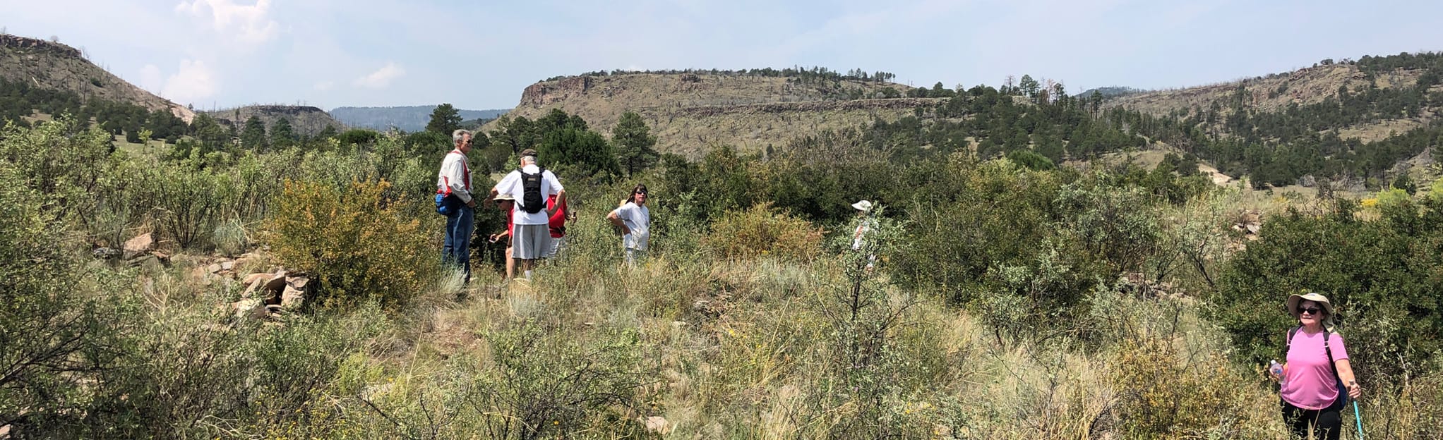 Sipe White Mountain Wildlife Area, Arizona - 10 Reviews, Map | AllTrails