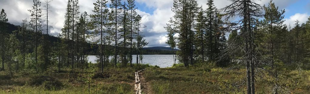 Kesänkijärvi-tur - Lapland, Finland | AllTrails