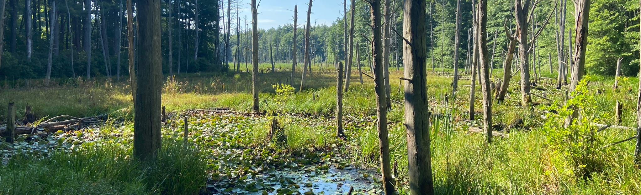 Plaistow, Hampstead and Atkinson Loop 102 Reviews, Map New Hampshire