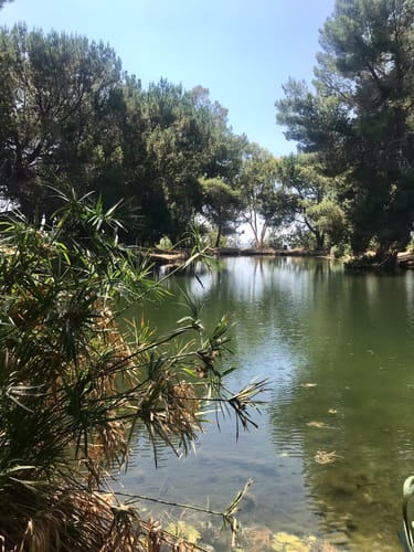 Lake Hiking Trails Near Me Best 10 Lake Trails In Los Angeles | Alltrails