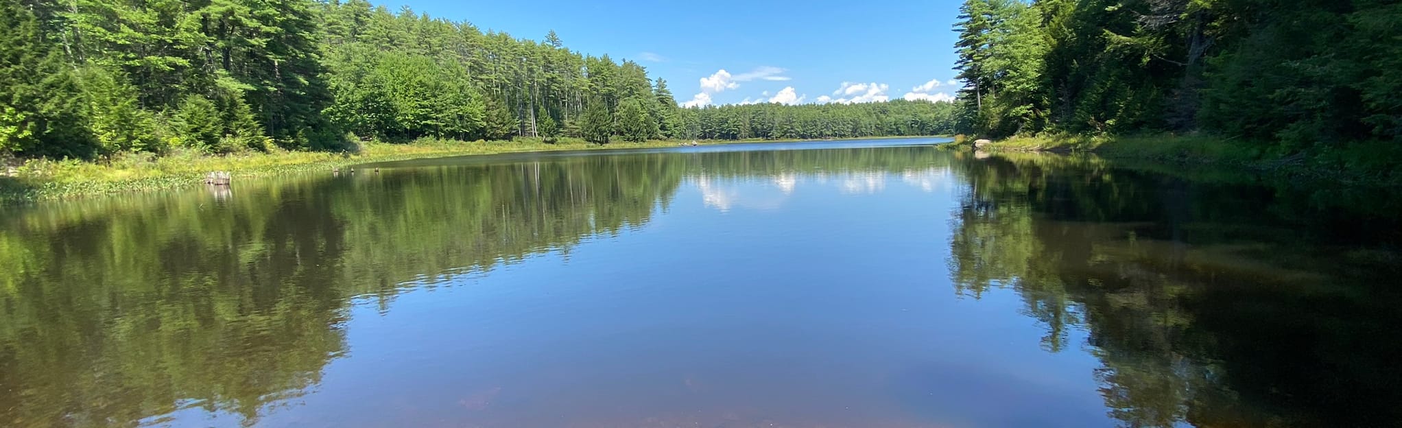 Meadow Lake Loop Trail 580 Reviews, Map New Hampshire AllTrails