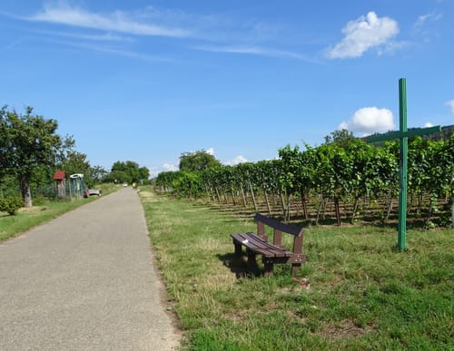 Badischer Weinradweg: Etappe 8
