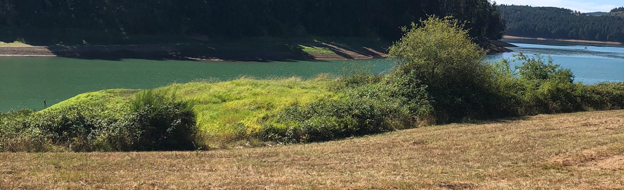 Henry Hagg Lake Trail From SW Scoggins Valley Road - Oregon | AllTrails