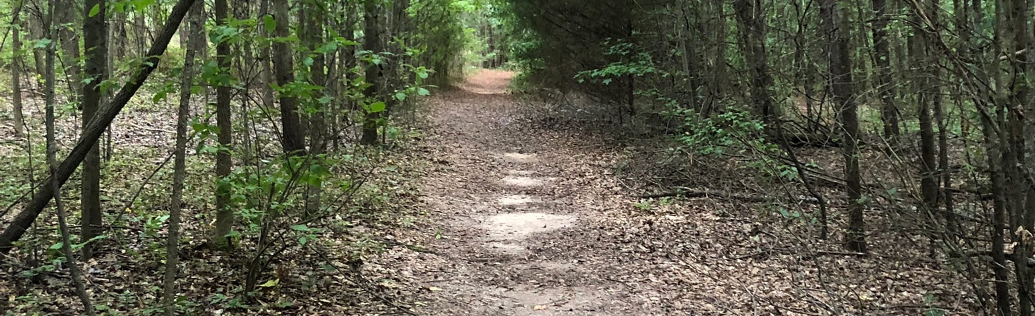 North Mt. Carmel Park, 14 Reviews, Map AllTrails