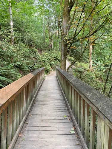 Best Hikes and Trails in Dash Point State Park | AllTrails