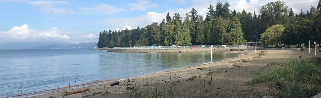 are dogs allowed in stanley park beaches