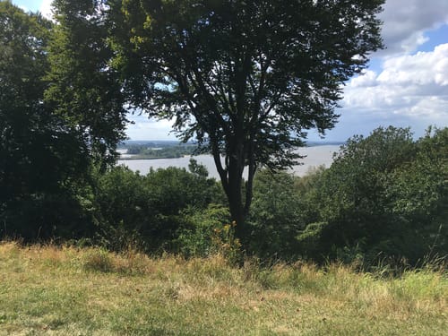 Entlang der Elbe ab Blankenese