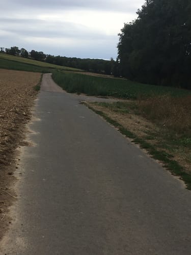 Gau-Algesheim: Dreibächeweg