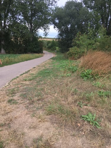 Panoramaweg Appenheim