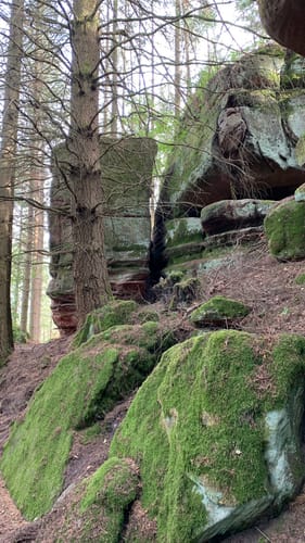 Rodalber Felsenwanderweg