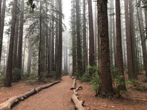 joaquin miller park mountain bike trails